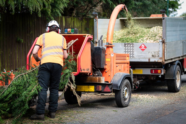 Lawn Pest Prevention in Johnson Creek, WI